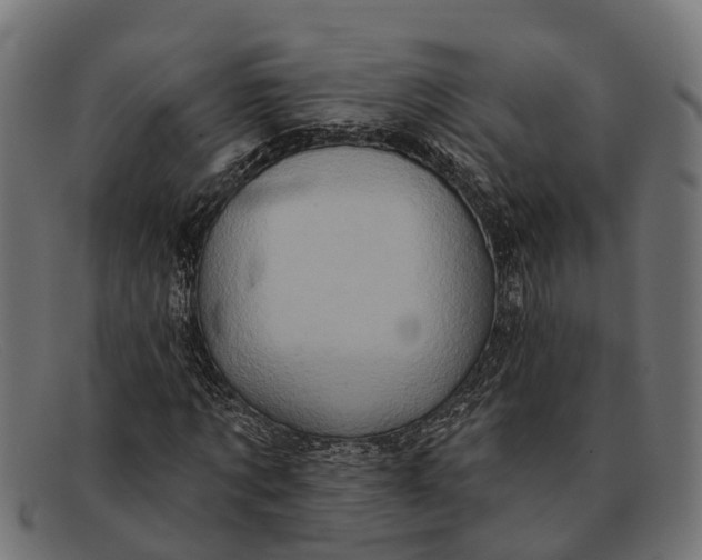 X0000091640869200709131429