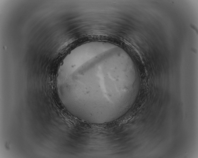 X0000091640870200709131429