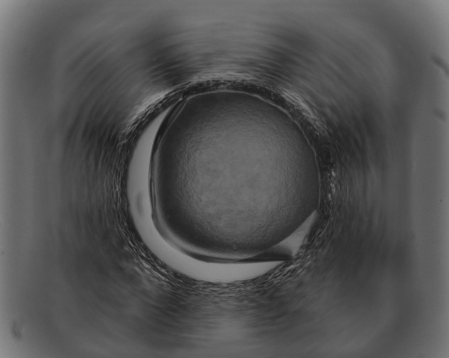 X0000091640872200709131429