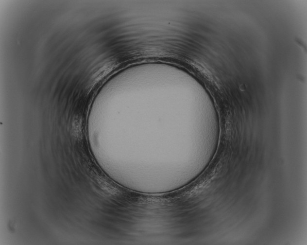 X0000091640873200709131429