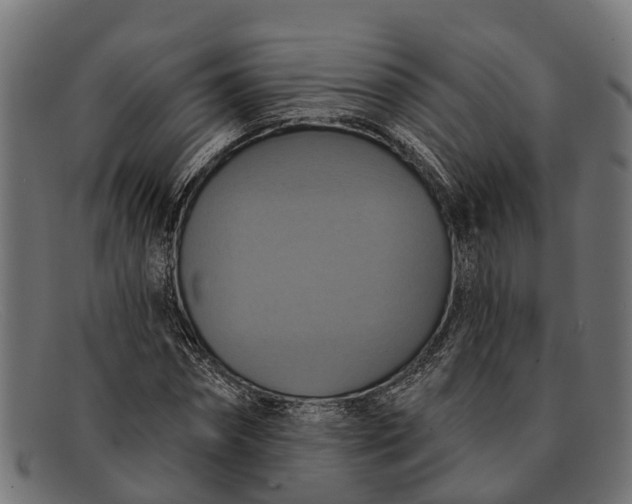 X0000091640874200709131429