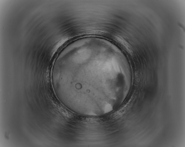 X0000091640875200709131429