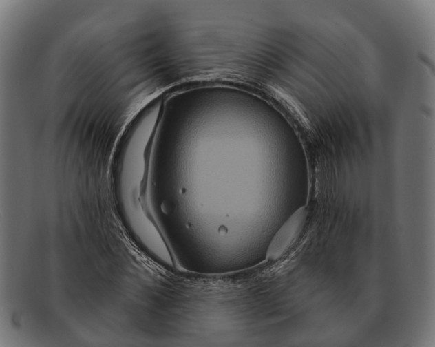 X0000091640876200709131429