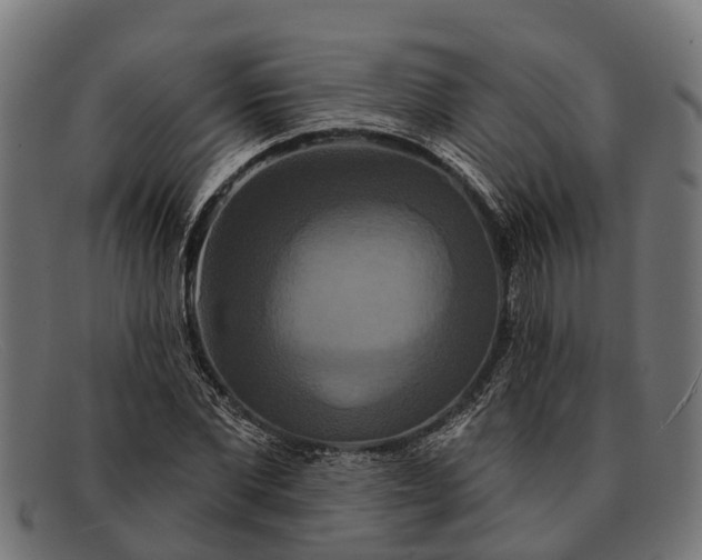 X0000091640877200709131429