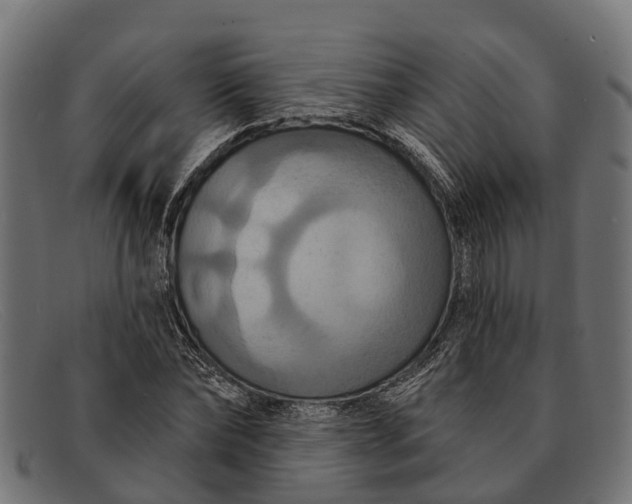X0000091640878200709131429
