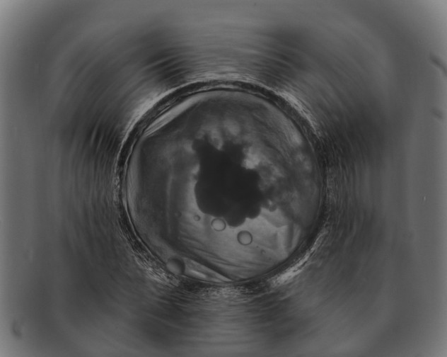 X0000091640879200709131429