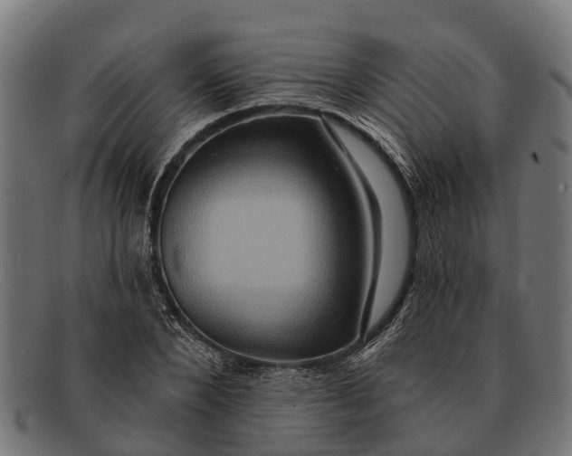 X0000091640880200709131429