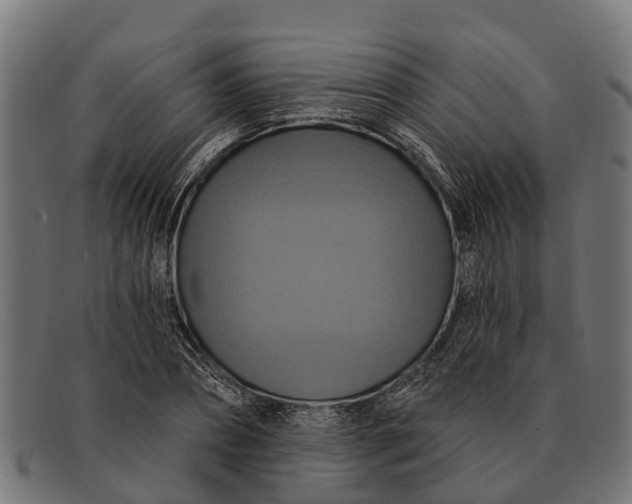 X0000091640882200709131429