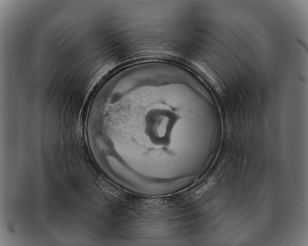 X0000091640883200709131429