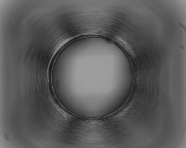 X0000091640884200709131429