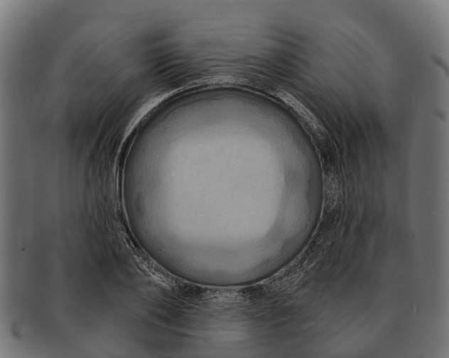 X0000091640886200709131429