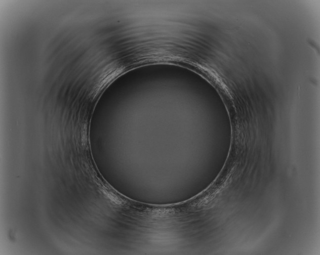 X0000091640889200709131429