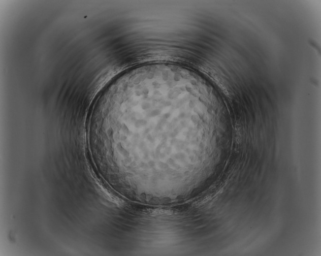 X0000091640890200709131429