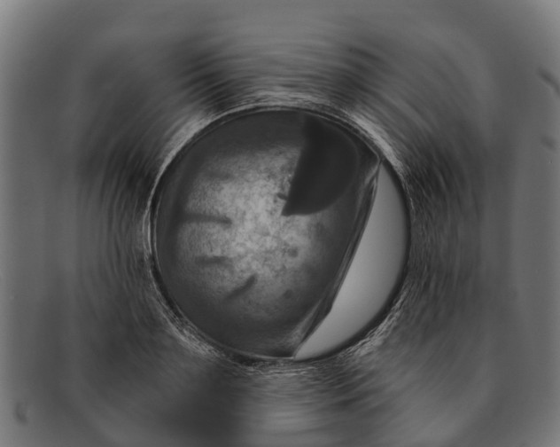 X0000091640891200709131429