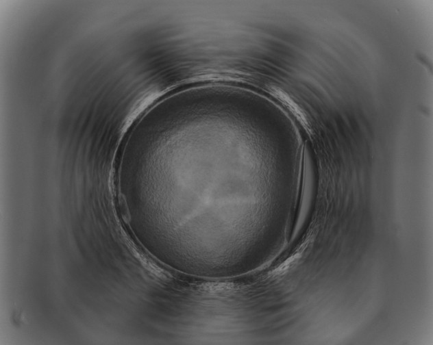 X0000091640893200709131429