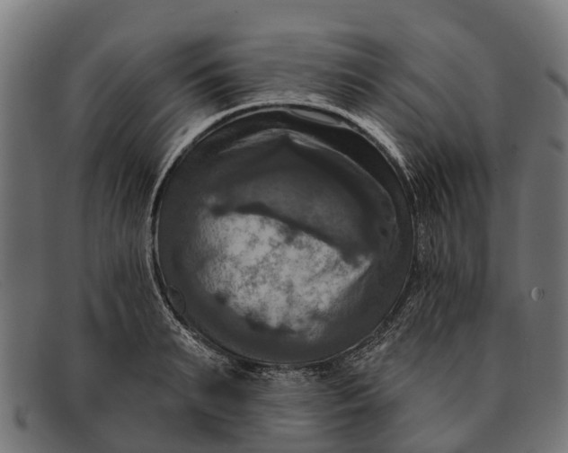 X0000091640895200709131429
