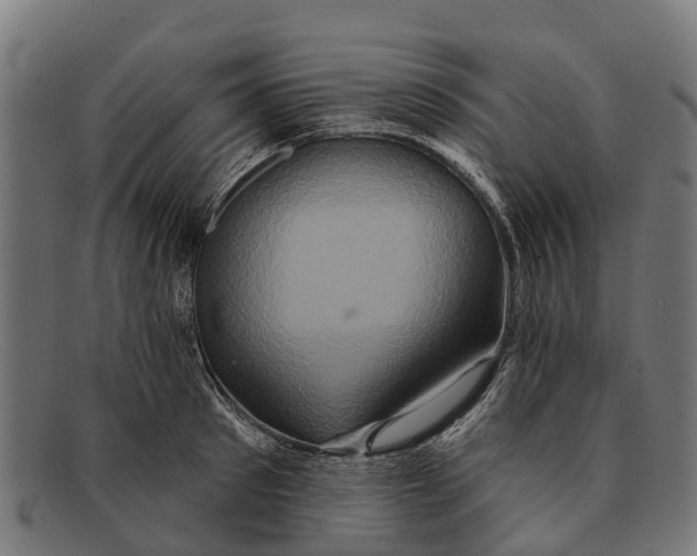 X0000091640897200709131429