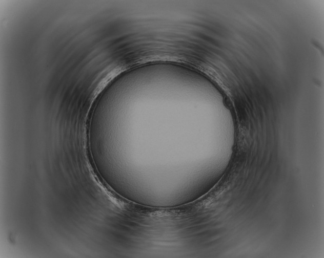 X0000091640898200709131429