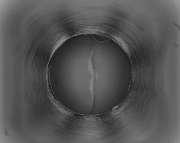 X0000091640899200709131429