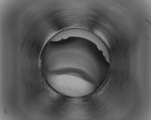 X0000091640900200709131429