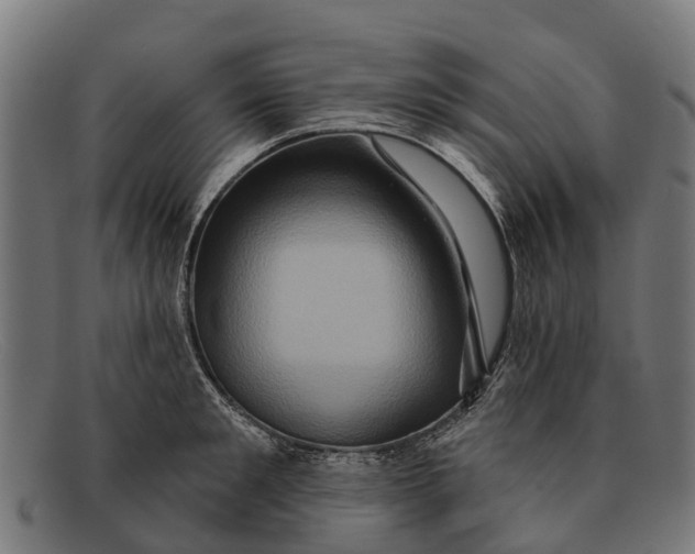 X0000091640901200709131429