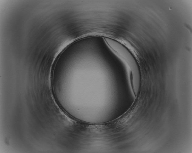 X0000091640902200709131429
