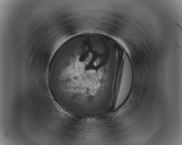 X0000091640903200709131429