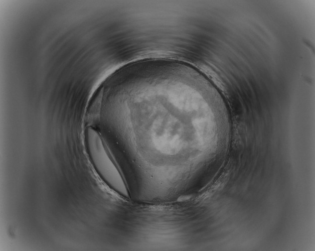 X0000091640904200709131429