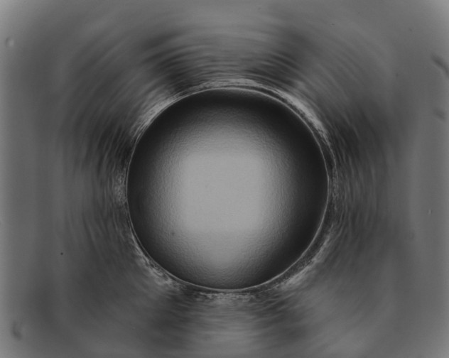 X0000091640905200709131429