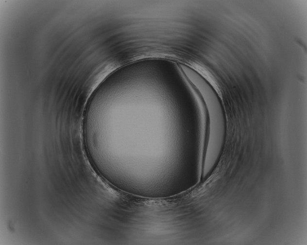 X0000091640906200709131429