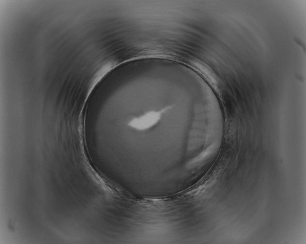 X0000091640907200709131429