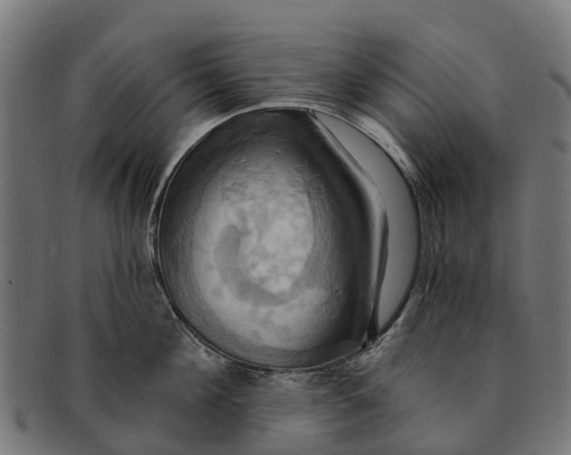 X0000091640908200709131429