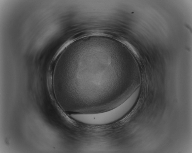 X0000091640910200709131429