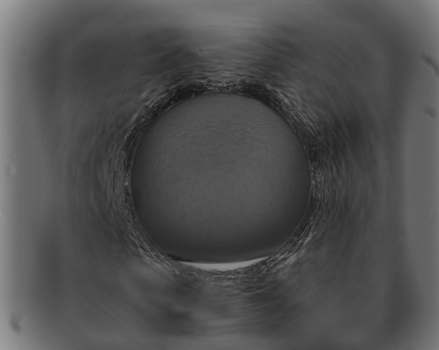 X0000091640913200709131428