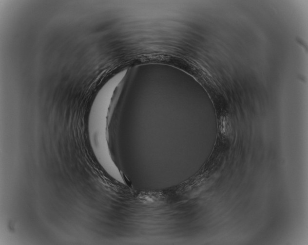 X0000091640915200709131428