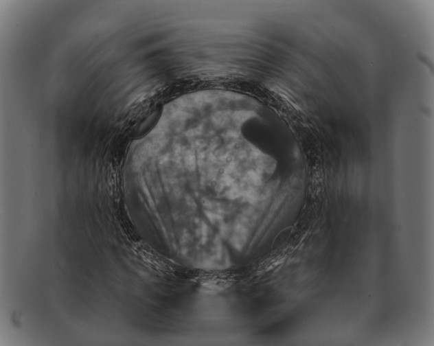 X0000091640917200709131428