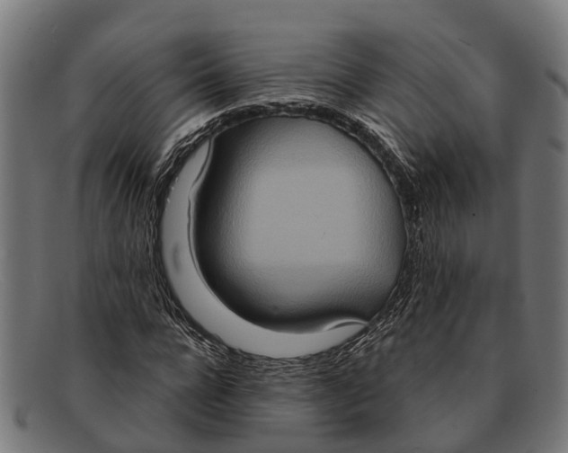 X0000091640920200709131428