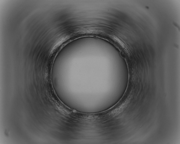 X0000091640922200709131428