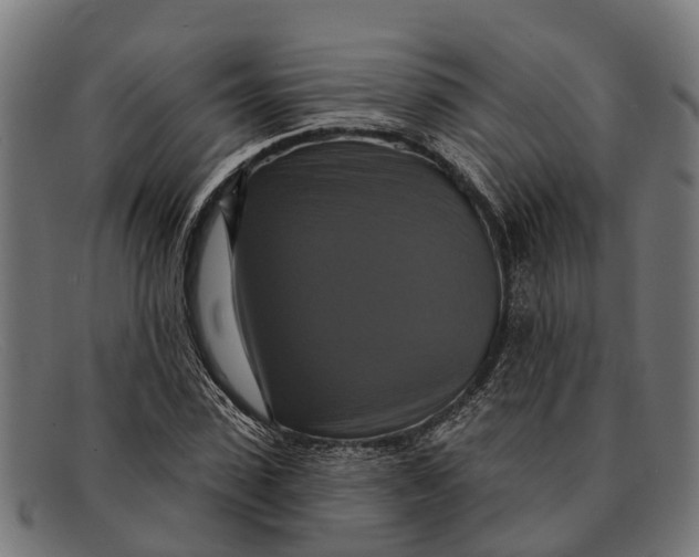 X0000091640923200709131428