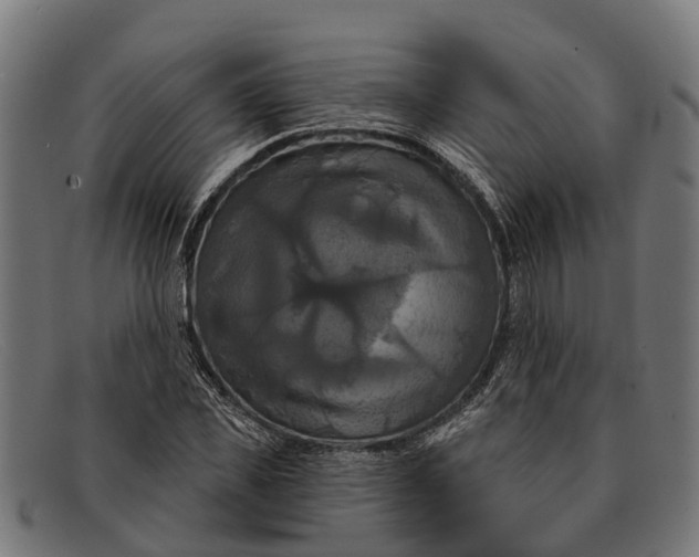 X0000091640925200709131428