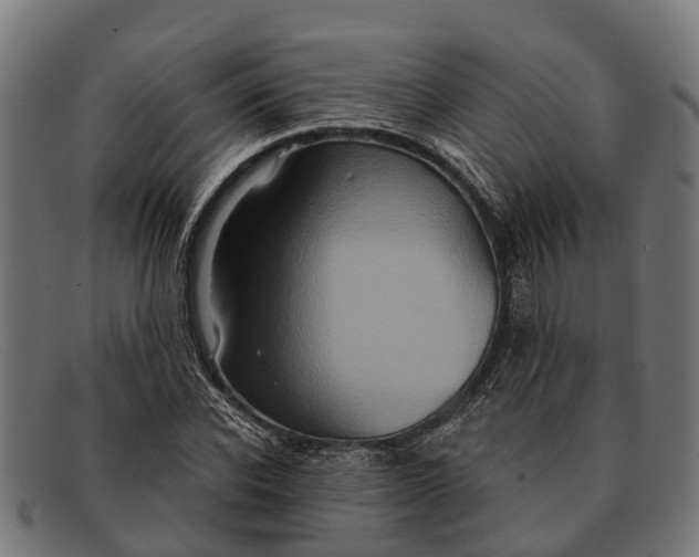 X0000091640926200709131428