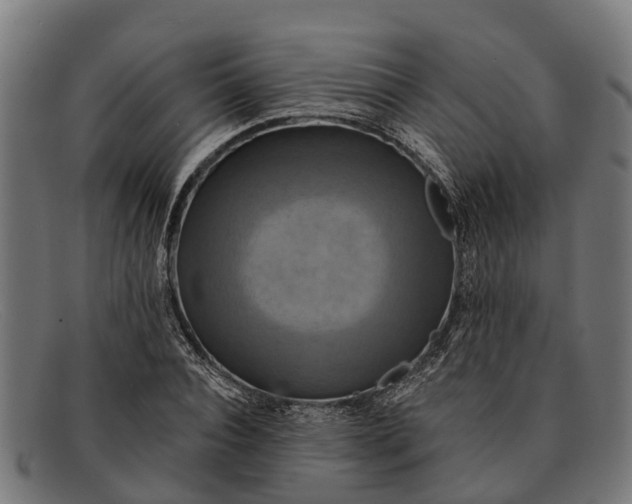 X0000091640928200709131428