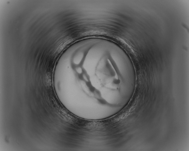 X0000091640929200709131428