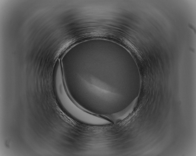 X0000091640930200709131428