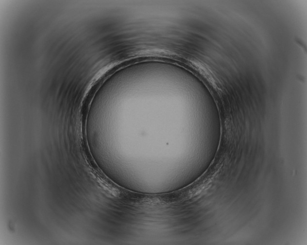 X0000091640931200709131428