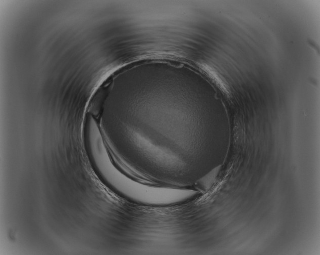 X0000091640932200709131428