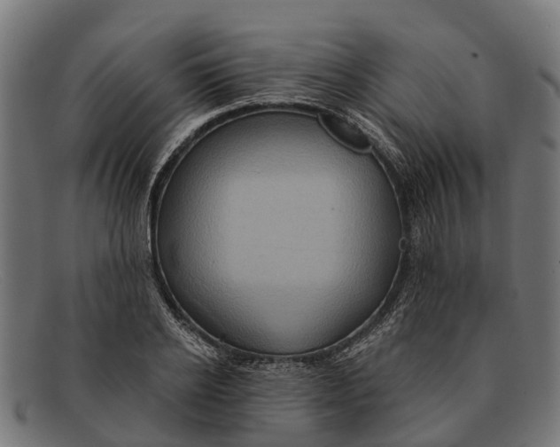 X0000091640934200709131428