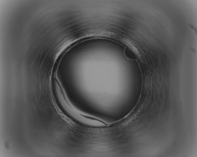 X0000091640936200709131428