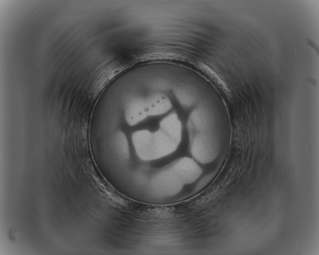 X0000091640937200709131428