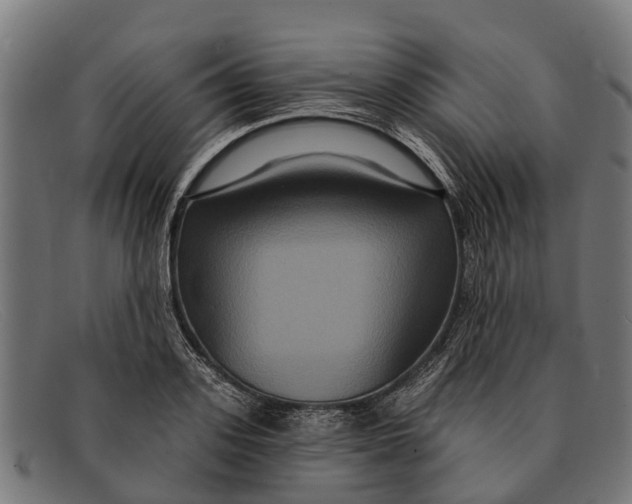 X0000091640939200709131428